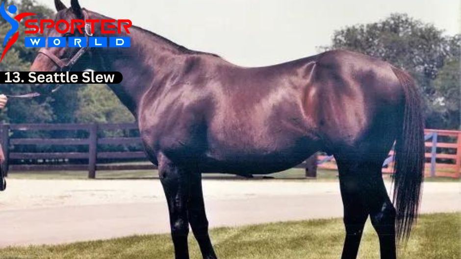 Seattle Slew was a champion American Thoroughbred Famous Racehorses.