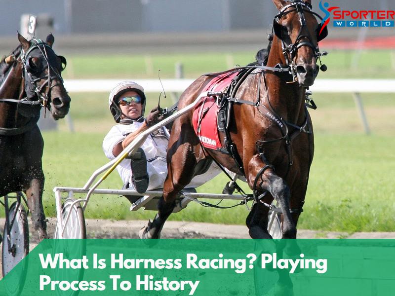 What Is Harness Racing Playing Process To History