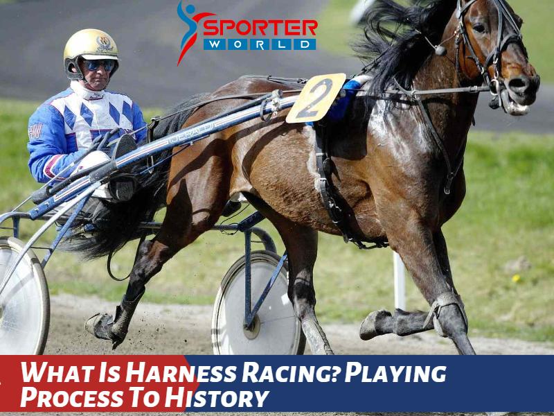 What Is Harness Racing